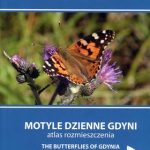 Motyle Dzienne Gdyni