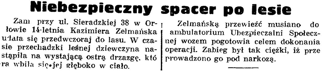 Niebezpieczny spacer po lesie // Gazeta Gdańska. - 1937, nr 153, s. 8