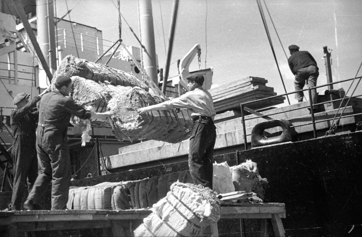 Port Gdynia 1945 - 1950. Wyładunek bawełny (2)