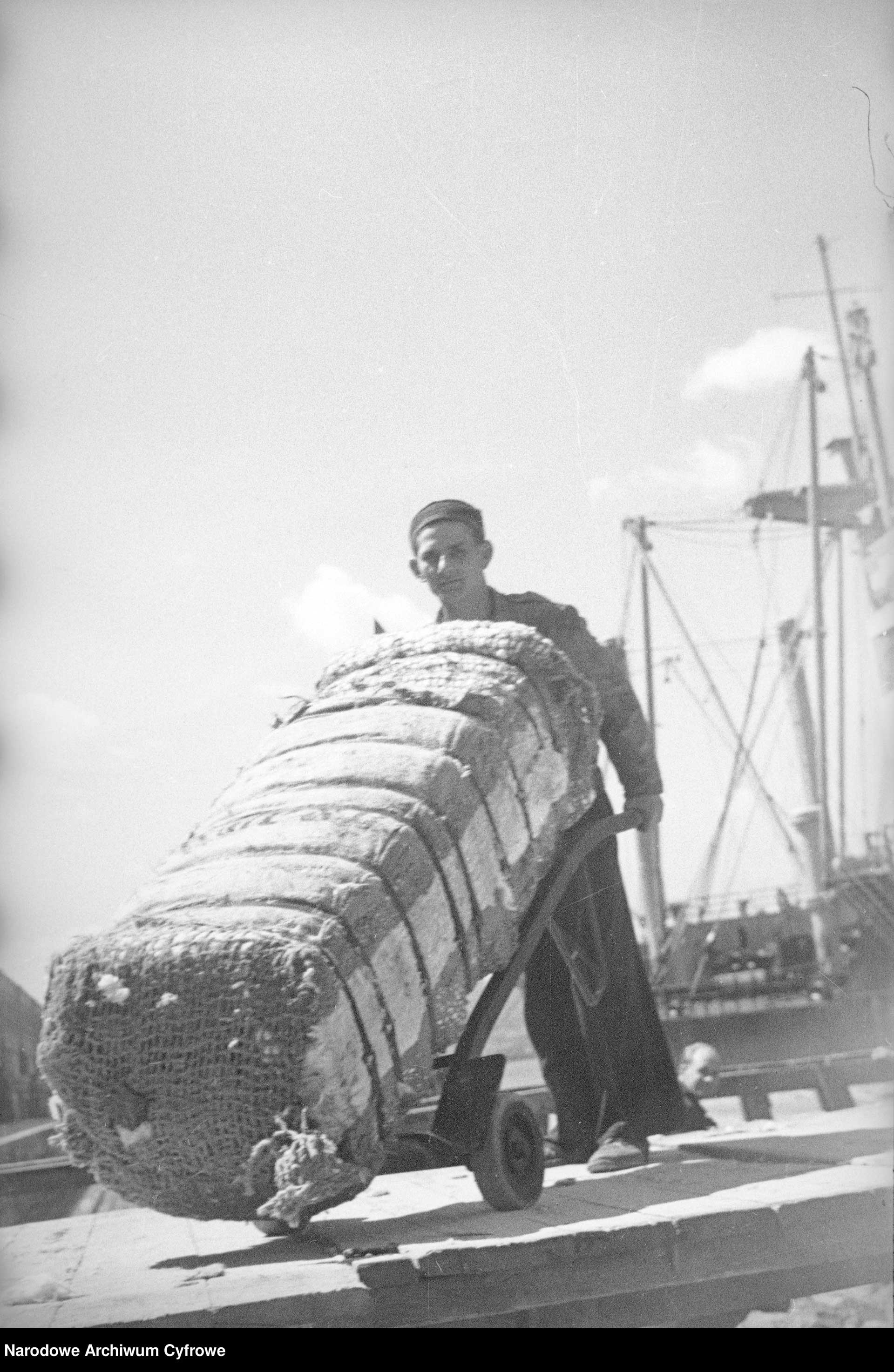 Port Gdynia 1945 - 1950. Wyładunek bawełny (3)